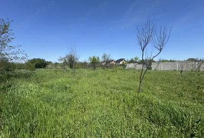 Teren de 2775 mp, în Olteni - 7