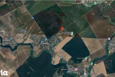 Teren de 935 mp, în Găneasa - 6