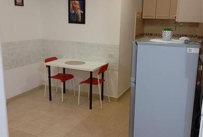 Garsonieră decomandată în 13 Septembrie - 4