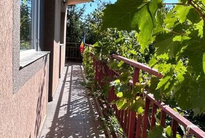 Casă individuală Buftea, 3.162 mp teren, ieșire spre lac - 37