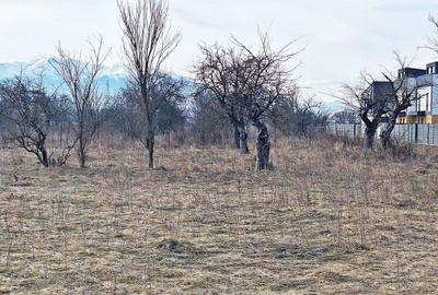 Teren Construcții intravilan de 933 mp, în Ghimbav Livadă - 12