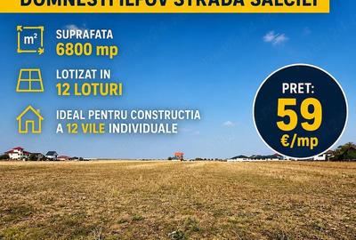 Teren de 6800 mp, în Domnești