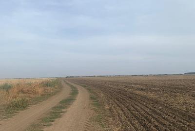 Teren intravilan  38500mp Stefanesti  DJ200 - 4