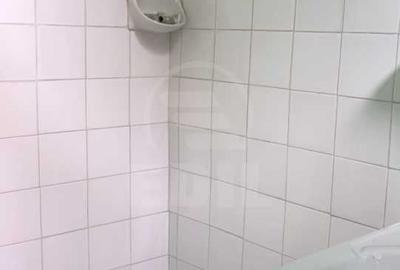 Casa Batraneasca zona Hasdeu - langa UMF Casa Batraneasca zona Hasdeu - langa UMF - 11