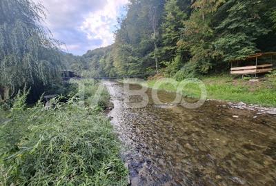 Spatiu de vanzare in Valea Macesului judel Valcea iesire la Lotru - 23