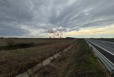 Teren 5.000 mp centura Calea Sagului- Freidorf. Comision 0 - 3