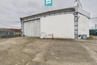 Hală cu teren intravilan de 3500 mp, în Sebiș Arad - 14