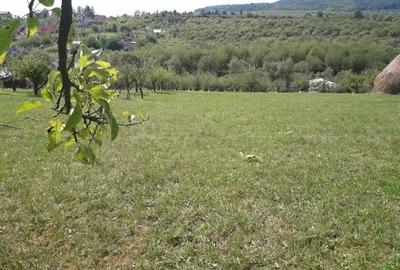 85 ari teren extravilan, intre case, la limita intravilanului Zona Valea Rusului - 8