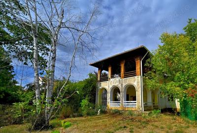 Vanzare vila 6 camere 264mp + garaj + garsoniera separata + 1490mp Centru Snagov Ilfov Nufarului 50A - 3