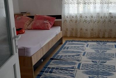 Casă cu 2 camere în Jelna - 4