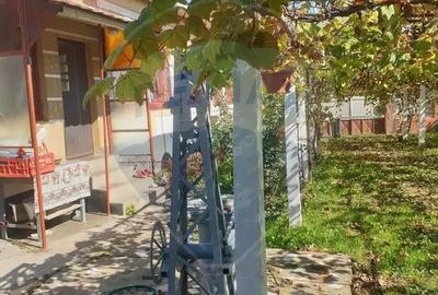 Casă cu 3 camere cu Teren 1000 Mp în Negoi - 5