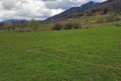 Teren Construcții intravilan de 1000 mp, în Sud-Est - 7