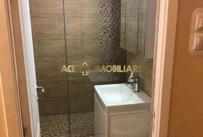 Apartament cu 2 camere decomandat, mobilat în Baba Novac - 5