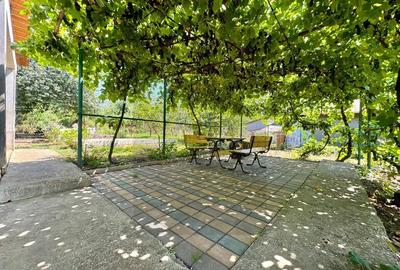 Vânzare Casă - Copou- P+M - lângă Gradina Botanică - 6