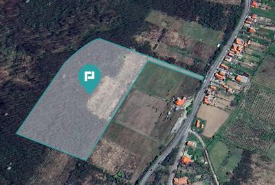 Teren de vânzare – 5,47 ha | Dealul Viilor, Lugoj - 3