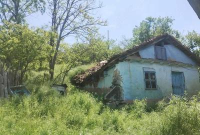 Teren de 1820 mp, în Rasova - 7
