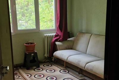 Apartament cu 3 camere semidecomandat în Valea Ialomiței - 4