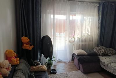Apartament cu 2 camere semidecomandat în Bucovina - 3