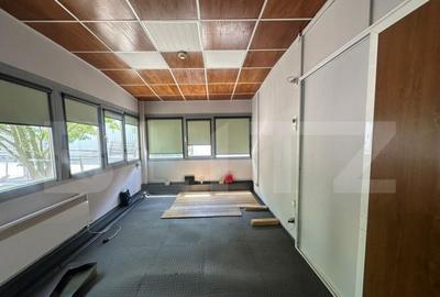 Trei hale industriale + Anexe, zona Breasta - 7