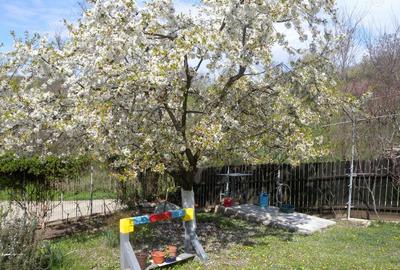 Casă cu 4 camere în Vălenii de Munte - 4