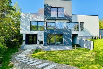 Vanzare Vila la munte - 1