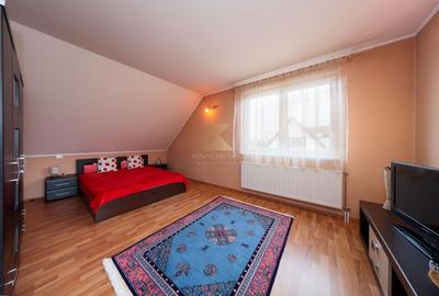 Reședință exclusivistă cu potențial investițional în centrul Cristian - 13