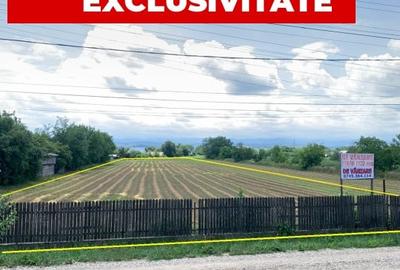 Teren de vanzare 7.123 mp intravilan, Buhusi - 2