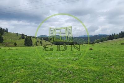 Parcele de vis in munti – Zona Arka Park, cu drum de acces si PUZ aprobat - 11