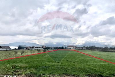 Teren de 3545 mp, în Tărlungeni - 5