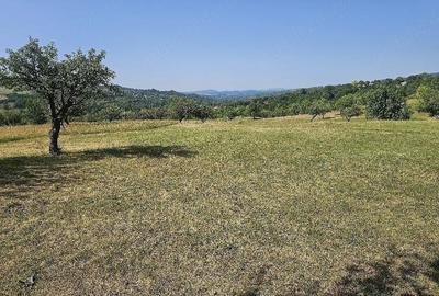 Teren de 11033 mp, în Nucșoara de Sus - 2