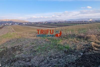 Teren de 1453 mp, în Bărăbanț - 3