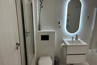 Apartament cu 3 camere decomandat în Parcul Carol - 6