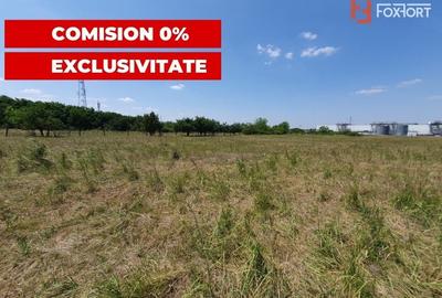 COMISION 0% Teren de vanzare intravilan de 5000 mp in Chisoda - 12