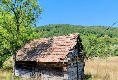 2500 mp TEREN INTRAVILAN MUNTII APUSENI, Negreni – Cluj, E60 - Mal Crisul Repede - 18
