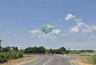 Teren - dezvoltare rezidentiala - Tunari 10.000 mp - 2