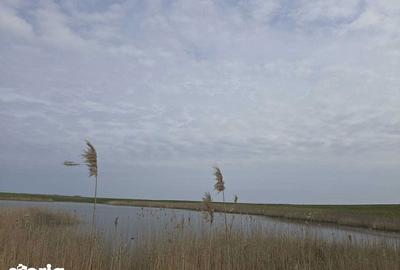 Teren de 230000 mp, în Reviga