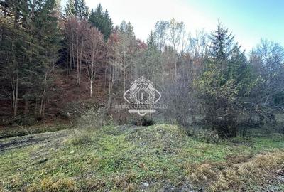 Teren 2.882 mp – oportunitate investitie - Cheile Dâmbovicioarei - 18