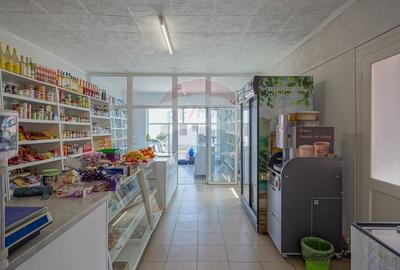 Casă individuală cu 5 camere cu Teren 1100 Mp în Central - 10