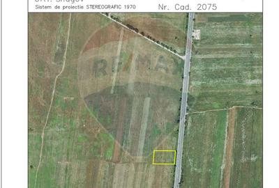 Teren agricol intravilan de 4000 mp, în Snagov - 3