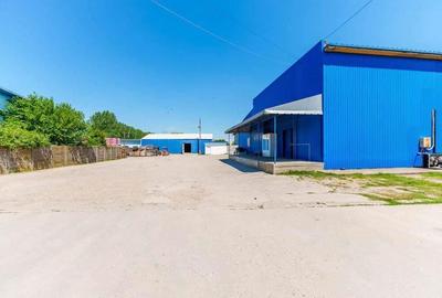 Depozit frigo de inchiriat in Sacalaz - 1