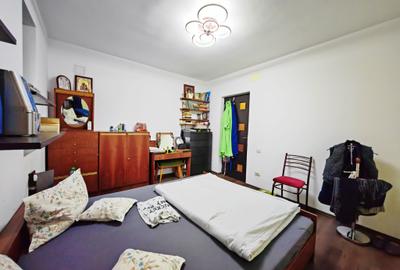 Vila S+P+1+M-318 m2 utili cu 1820 m2 teren situata vis a vis Lidl,Penny,Kaufland - 18