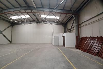 Hala Industriala Colentina- Soseaua Andronache - 3