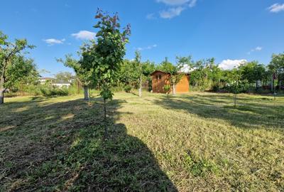 Teren Construcții intravilan de 1250 mp, în Săftica - 1