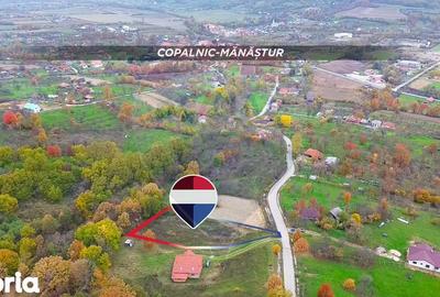 Teren de 3000 mp, în Copalnic - 2