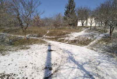 Teren Construcții intravilan de 5950 mp, în Central - 3