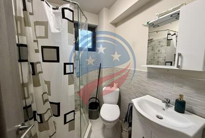 Apartament cu 2 camere semidecomandat, mobilat în Calea Severinului - 6