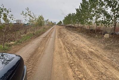 Theodor Pallady, Gura Solcii, 6000mp, vazare teren intravilan - 4