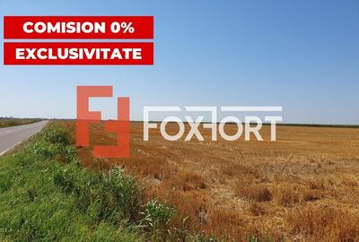 COMISION 0% Teren extravilan 4,47 ha, 800m front stradal, Peciu Nou - ID V5491 - 2