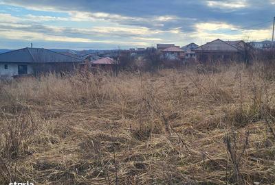 Spațiu comercial, în Paleu - 1