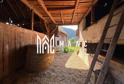 BLACK FRIDAY Casa individuala 3 camere | Teren | Gura Raului - 6